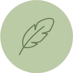 Feather icon